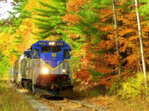 Read more about the article Wisconsin Fall Colors, The Best Time Of Year!