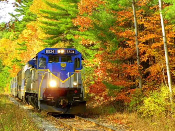 Read more about the article Wisconsin Fall Colors, The Best Time Of Year!