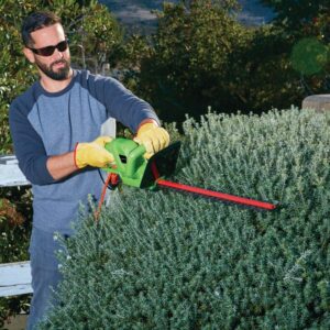 Read more about the article Essential tools under $40 every homeowner should have…