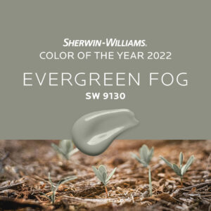Read more about the article Color of the Year 2022 – Part 1