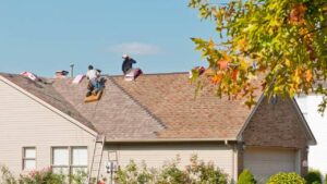 Read more about the article FALL Is The Perfect Time For Roof Maintenance