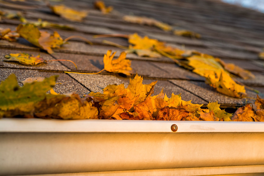 Read more about the article 6 Home Improvement Projects to Invest In This Fall – #6 Gutter Trouble
