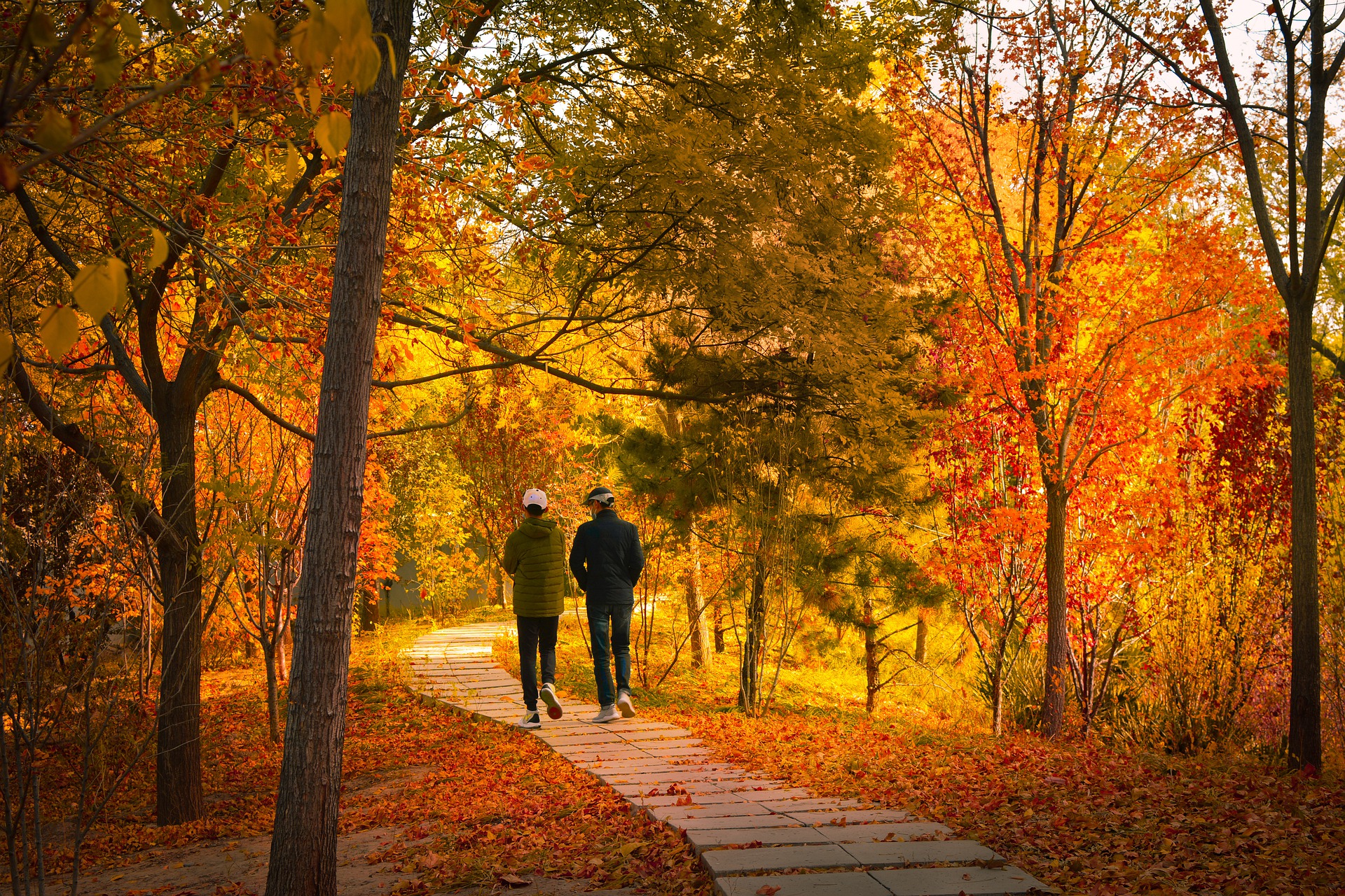 Read more about the article Here’s How Far and Fast You Need to Walk to Boost Longevity