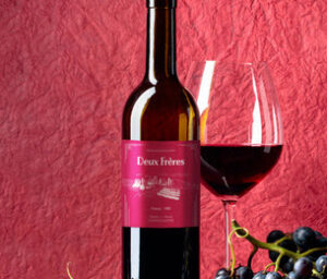 Read more about the article Viva Magenta by Pantone