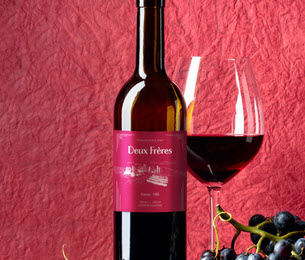 Read more about the article Viva Magenta by Pantone