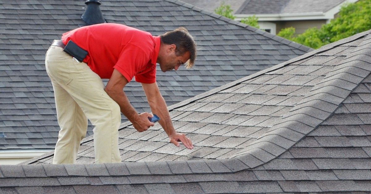 Read more about the article Spring Maintenance – Roof Inspection