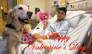 Read more about the article Happy Valentine’s Day From Team Hoffmann