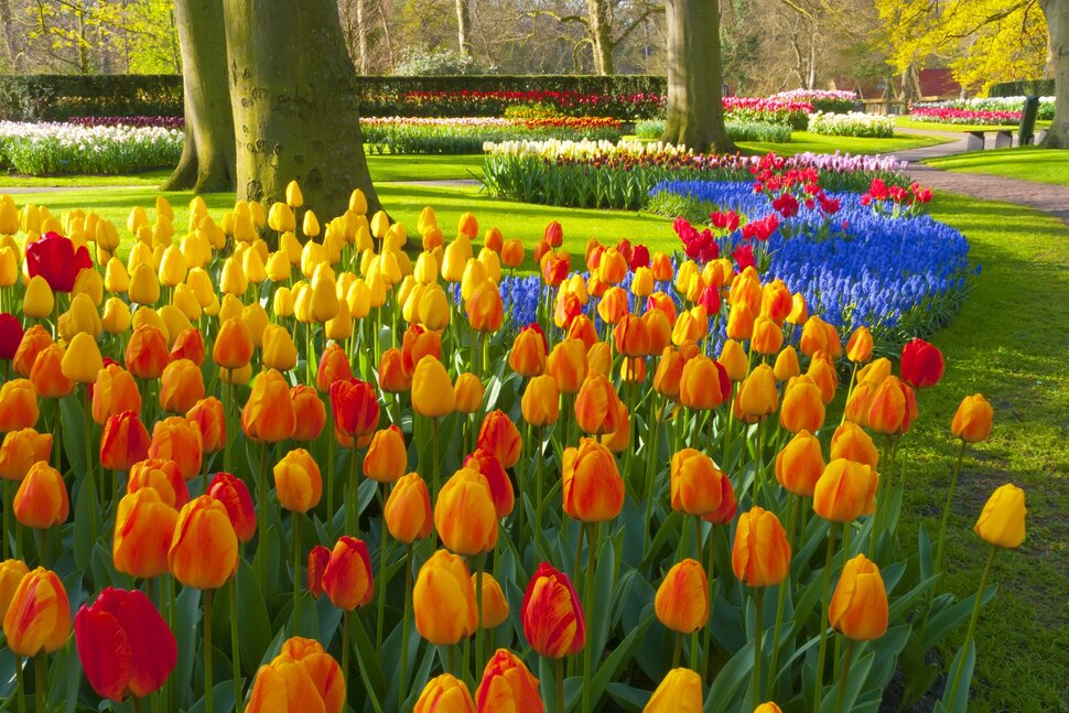 Read more about the article Milwaukee Realtor’s Home and Garden Show
