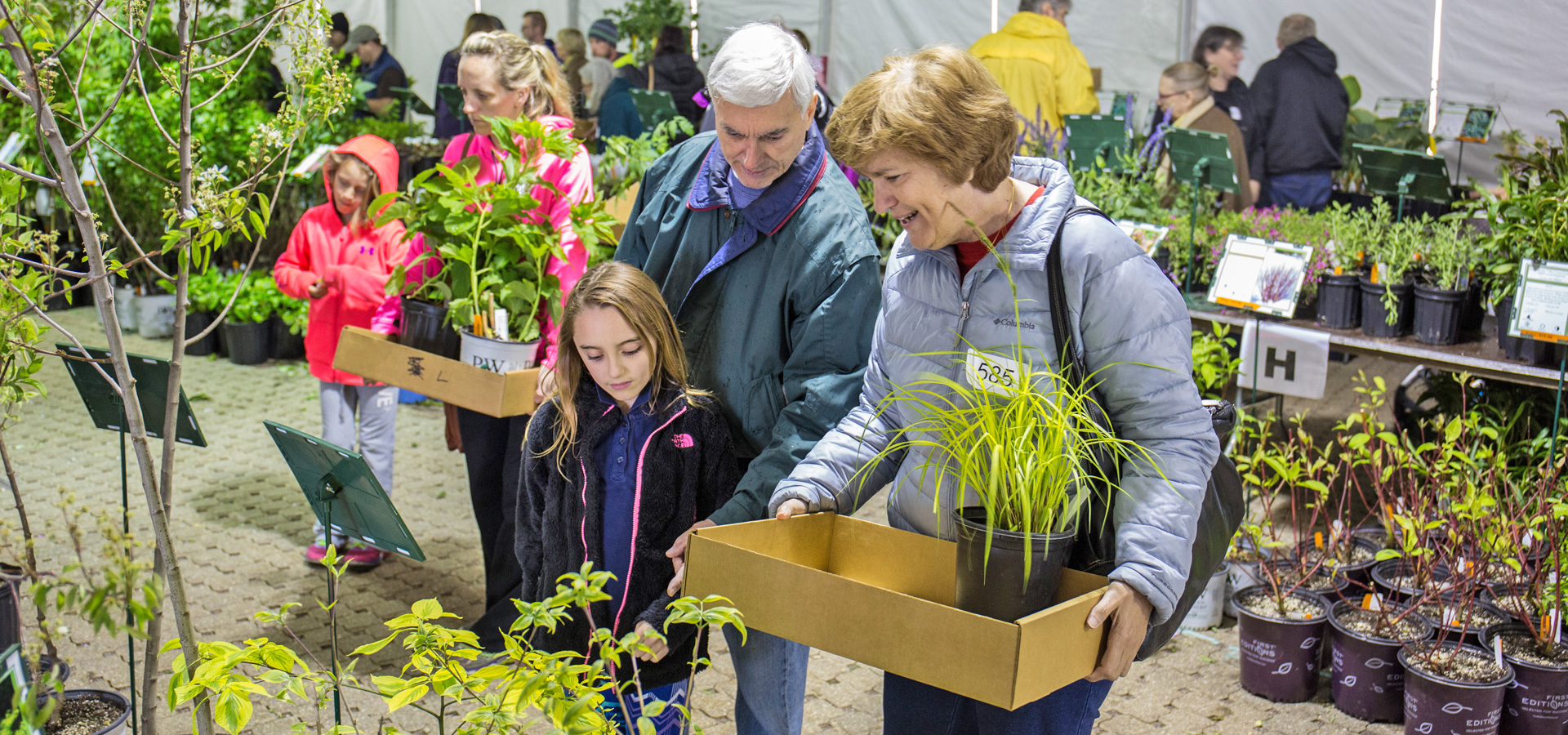 Read more about the article 2025 Milwaukee-area plant sales offer native perennial and annual flowers, grasses, more