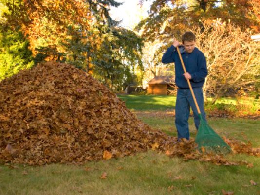 Read more about the article Team Hoffmann Invites You To Download Fall Home Maintenance Checklist