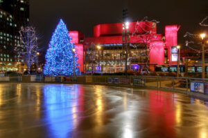 Read more about the article Merry Christmas from Team Hoffmann