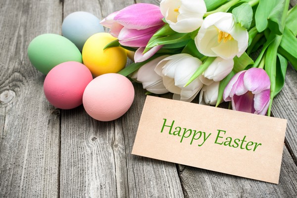Read more about the article Happy Easter from Team Hoffmann