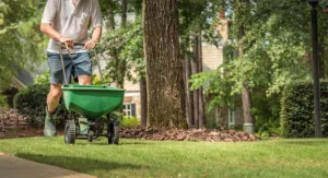 Read more about the article Outdoor Living Trend # 4 – Luxury Upgrades