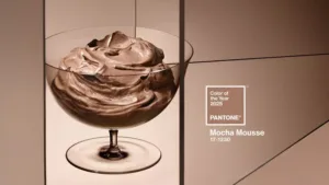 Read more about the article 2025 COTY – Mocha Mousse by Pantone
