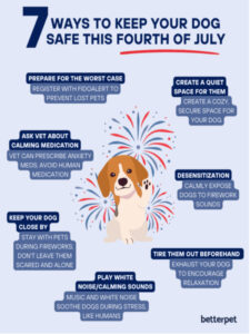 Read more about the article Vet-backed tips to calm your dog during Fourth of July fireworks
